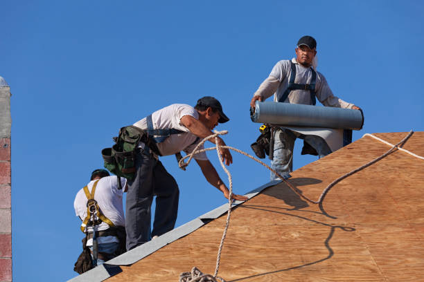 Best Local Roofing Companies  in Tangerine, FL